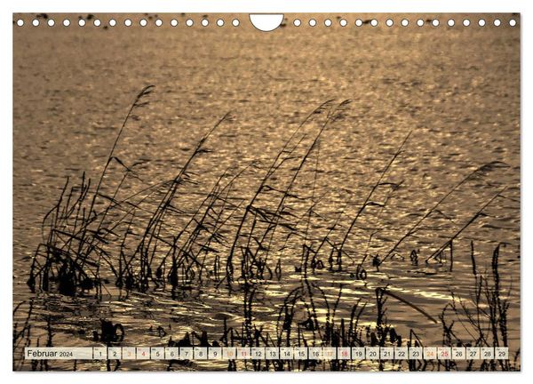 Landschaft An Der Elbe 6 Buchstaben 'Landschaft an der Wümme (Wandkalender 2024 DIN A4 quer), CALVENDO