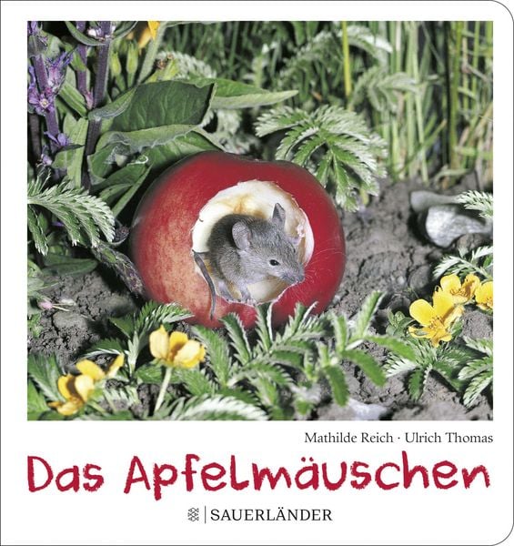 Produktbild: Das Apfelm&auml;uschen (Pappbilderbuch)