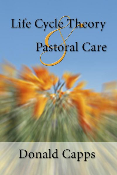 Produktbild: Life Cycle Theory and Pastoral Care