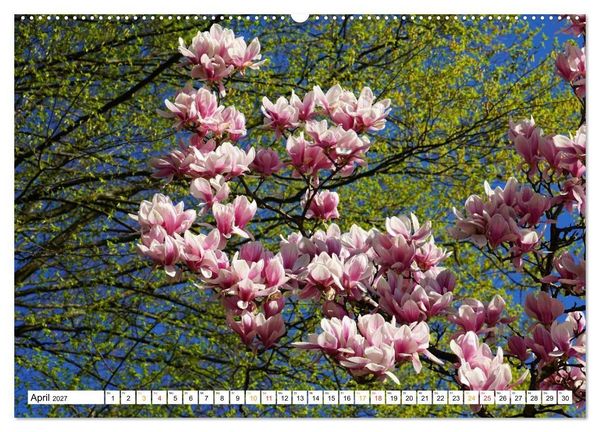 Produktbild: 12 Monate Natur (hochwertiger Premium Wandkalender 2027 DIN A2 quer), Kunstdruck in Hochglanz