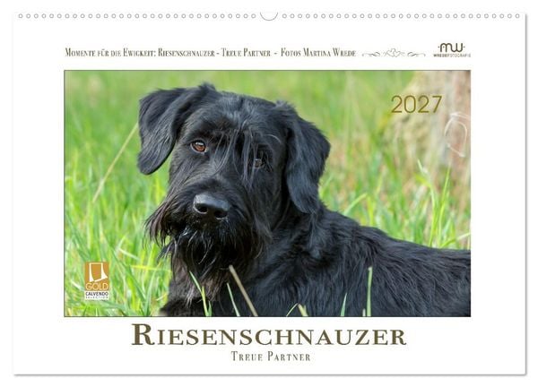 Produktbild: Riesenschnauzer - Treue Partner (Wandkalender 2027 DIN A2 quer), CALVENDO Monatskalender