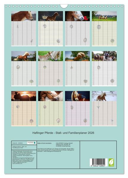 Produktbild: Haflinger Pferde - Stall- und Familienplaner 2026 (Wandkalender 2026 DIN A3 hoch), CALVENDO Monatskalender