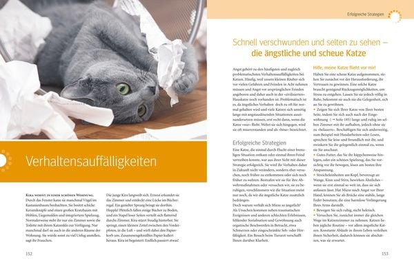 Produktbild: Was Katzen wirklich wollen