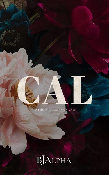 Produktbild: CAL Discreet Cover