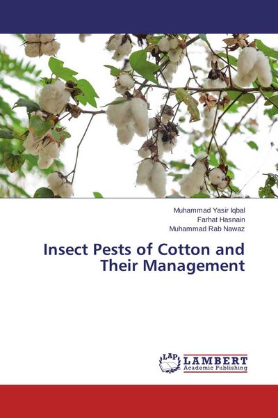 Produktbild: Insect Pests of Cotton and Their Management