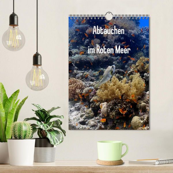 Produktbild: Abtauchen im Roten Meer (Wandkalender 2026 DIN A4 hoch), CALVENDO Monatskalender