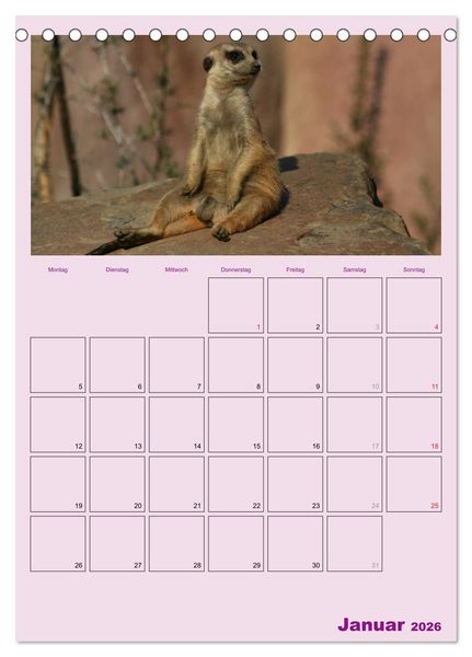 Produktbild: Erdm&auml;nnchen / Terminplaner (Tischkalender 2026 DIN A5 hoch), CALVENDO Monatskalender