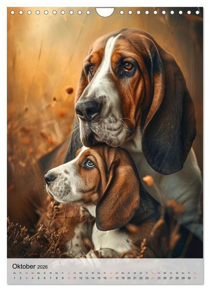 Produktbild: Basset Hound - freundlich und anh&auml;nglich (Wandkalender 2026 DIN A4 hoch), CALVENDO Monatskalender