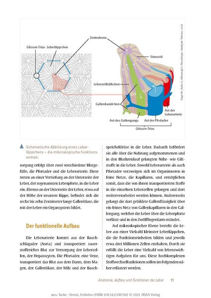 Produktbild: Expertenwissen: Fettleber