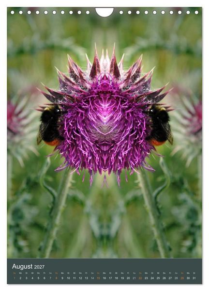 Produktbild: Spiegelwelten - Botschaften der Naturwesen (Wandkalender 2027 DIN A4 hoch), CALVENDO Monatskalender
