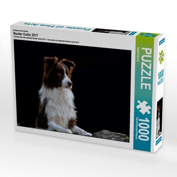 CALVENDO Puzzle Ein Motiv aus dem Kalender Border Collie 2017 | 1000 Teile Lege-Größe 64x48cm Foto-Puzzle für glückliche Stunden