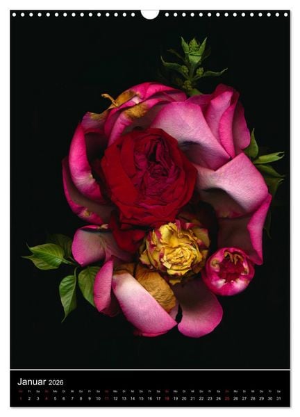 Produktbild: Blumen bei Nacht (Wandkalender 2026 DIN A3 hoch), CALVENDO Monatskalender