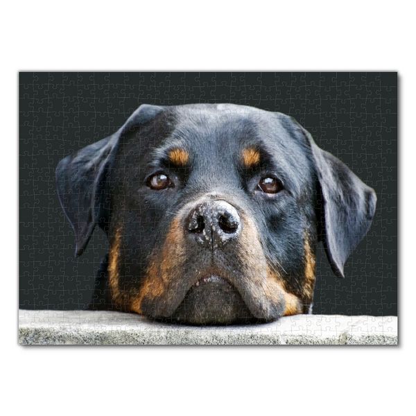 Produktbild: Lais Puzzle Rottweiler 500 Teile