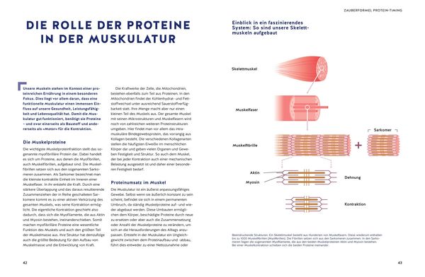 Produktbild: Das Eiwei&szlig;-Wunder