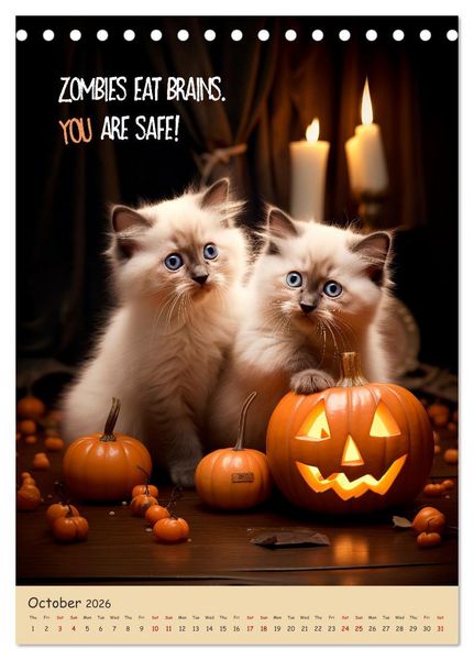 Produktbild: LUNATIC CATS Enjoy hilarious and wacky sayings (Desk Calendar 2026 DIN A5 portrait), CALVENDO 12 Month DeskCalendar