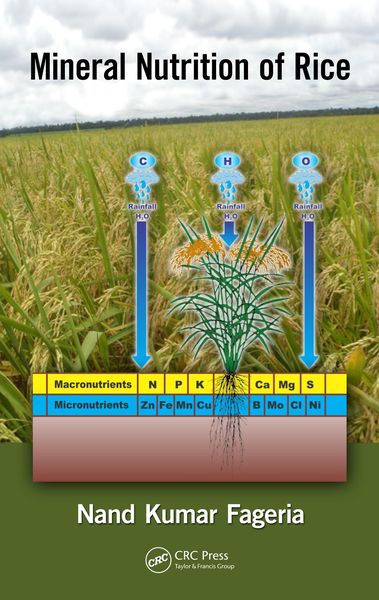 Produktbild: Mineral Nutrition of Rice