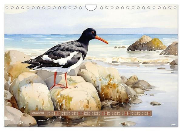 Produktbild: Urlaubszeit an der malerischen Nordseek&uuml;ste (Wandkalender 2026 DIN A4 quer), CALVENDO Monatskalender