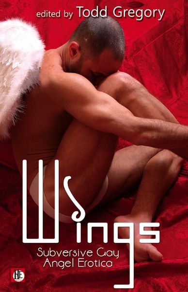Produktbild: Wings: Subversive Gay Angel Erotica