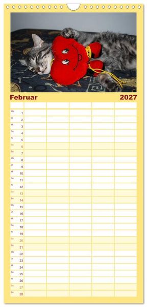 Produktbild: Familienplaner 2027 - Die Launen der Katzen 2027 mit 5 Spalten (Wandkalender, 21 x 45 cm) CALVENDO