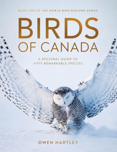 Produktbild: BIRDS OF CANADA