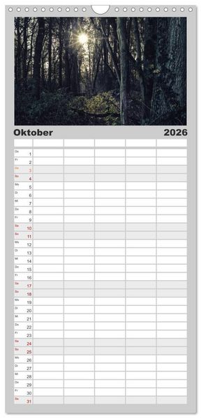 Produktbild: Familienplaner 2026 - Mystische W&auml;lder mit 5 Spalten (Wandkalender, 21 x 45 cm) CALVENDO