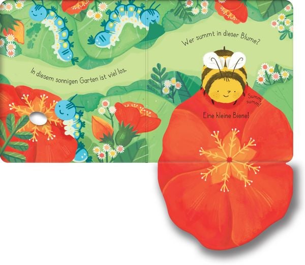 Produktbild: Mein erstes Entdecker-Klappenbuch: Kleine Biene im Garten
