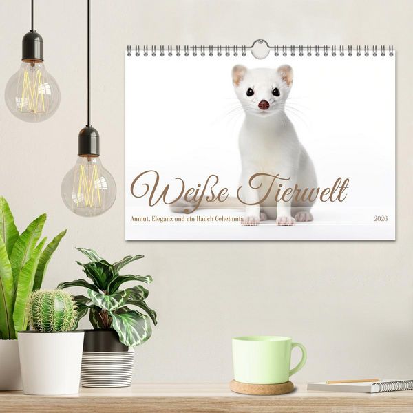 Produktbild: Wei&szlig;e Tierwelt (Wandkalender 2026 DIN A4 quer), CALVENDO Monatskalender