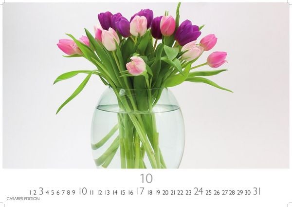 Produktbild: Flower Fantasy Kalender 2027 &ndash; Wandkalender | Fotokalender Naturkalender | Blumenkalender | 24x35cm - Wundersch&ouml;ne Blumenfotos in bestechender &Auml;sthetik