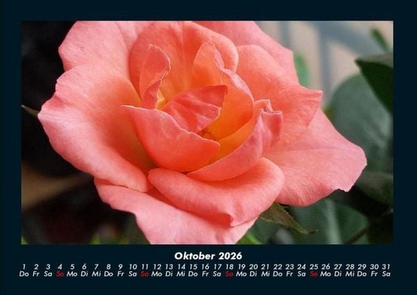 Produktbild: Blumentr&auml;ume 2026 Fotokalender DIN A4