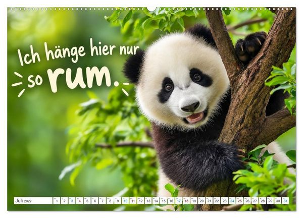 Produktbild: Pandas mit Flausen im Kopf (Wandkalender 2027 DIN A2 quer), CALVENDO Monatskalender