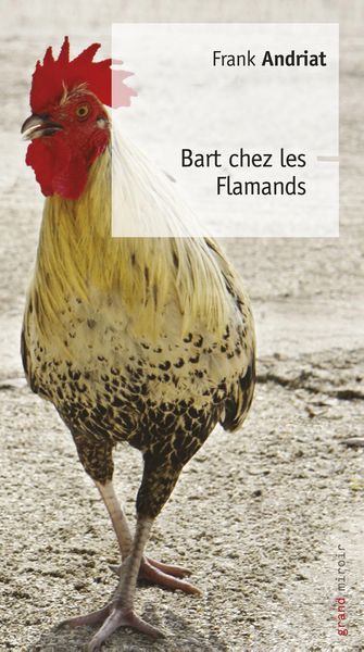 Produktbild: Bart chez les Flamands