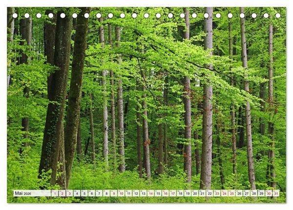 Produktbild: Hegau-Landschaften (Tischkalender 2026 DIN A5 quer), CALVENDO Monatskalender