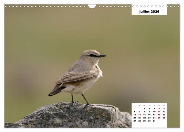 Produktbild: Les habitants de Lesbos Ile des cyclades (Calendrier mural 2026 DIN A3 vertical), CALVENDO calendrier mensuel