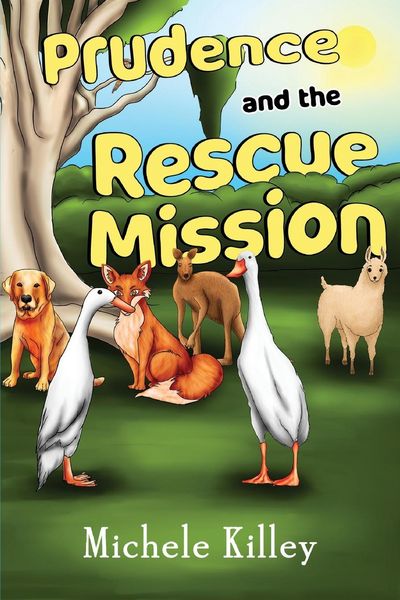 Produktbild: Killey, M: Prudence and the Rescue Mission