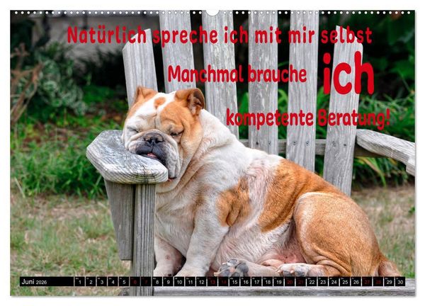 Produktbild: Spruchreif - Gute-Laune-Kalender (hochwertiger Premium Wandkalender 2026 DIN A2 quer), Kunstdruck in Hochglanz