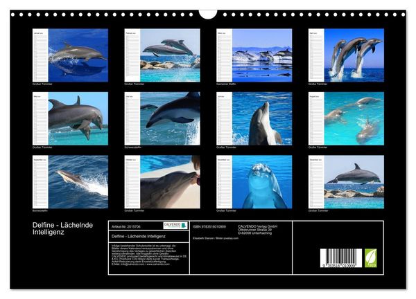 Produktbild: Delfine - L&auml;chelnde Intelligenz (Wandkalender 2026 DIN A3 quer), CALVENDO Monatskalender