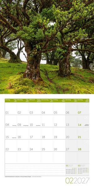 Produktbild: B&auml;ume Kalender 2027 - 30x30 - Art12
