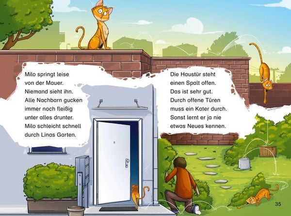 Duden Leseprofi – Plötzlich Katze!, 2. Klasse