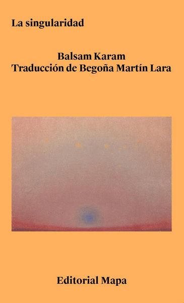 Produktbild: La singularidad