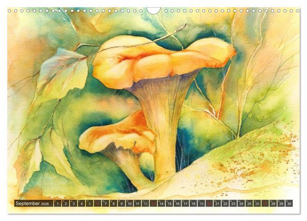 Produktbild: Pilze in Aquarell (Wandkalender 2026 DIN A3 quer), CALVENDO Monatskalender