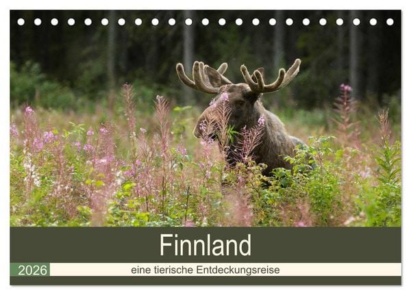 Produktbild: Finnland: eine tierische Entdeckungsreise (Tischkalender 2026 DIN A5 quer), CALVENDO Monatskalender