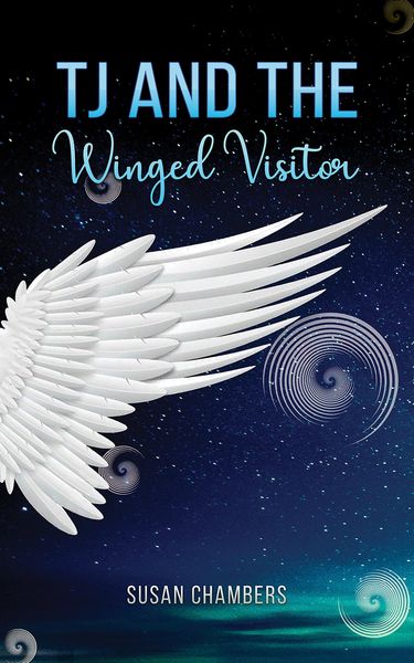 Produktbild: TJ and the Winged Visitor