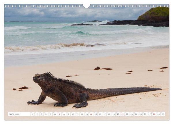 Produktbild: Galapagos. Verzauberte Inseln (Wandkalender 2026 DIN A3 quer), CALVENDO Monatskalender