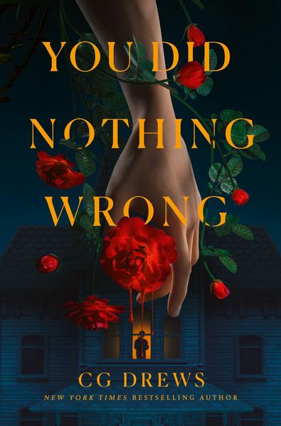 Produktbild: You Did Nothing Wrong