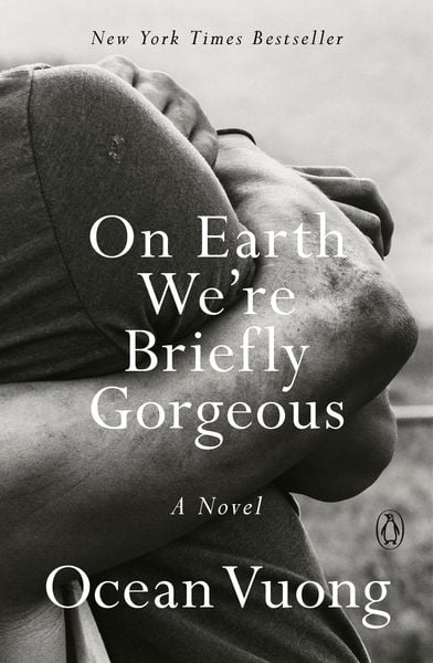 Produktbild: On Earth We're Briefly Gorgeous