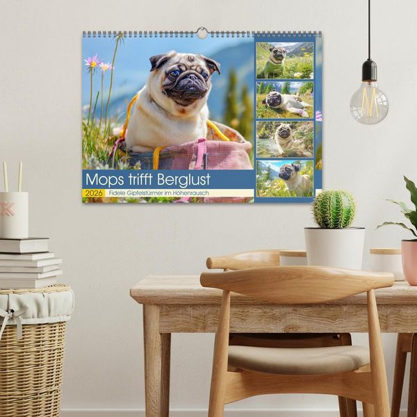 Produktbild: Mops trifft Berglust. Fidele Gipfelst&uuml;rmer im H&ouml;henrausch (Wandkalender 2026 DIN A3 quer), CALVENDO Monatskalender