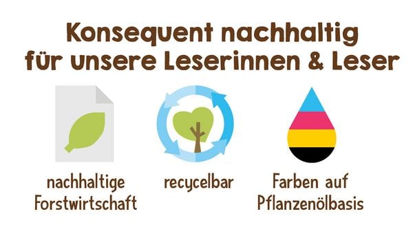 Produktbild: Lesen lernen mit Naturr&auml;tseln, B&uuml;cherhelden 2. Klasse, Insekten & Spinnen