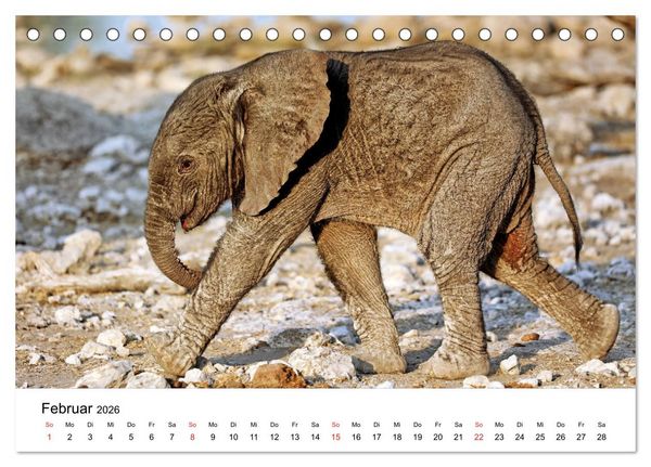 Produktbild: Namibias Elefanten (Tischkalender 2026 DIN A5 quer), CALVENDO Monatskalender