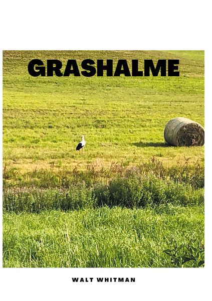 Produktbild: Grashalme