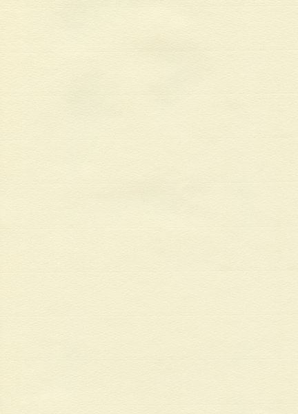 Produktbild: Hahnem&uuml;hle Papier The Collection - Ingres Pastel, ca. 62,5 x 48 cm, 100 g/m&sup2;, 25 Bogen